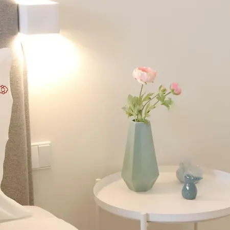 Hm - Cedofeita 500e Porto